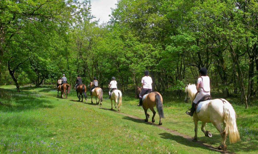 A Cavallo in Toscana