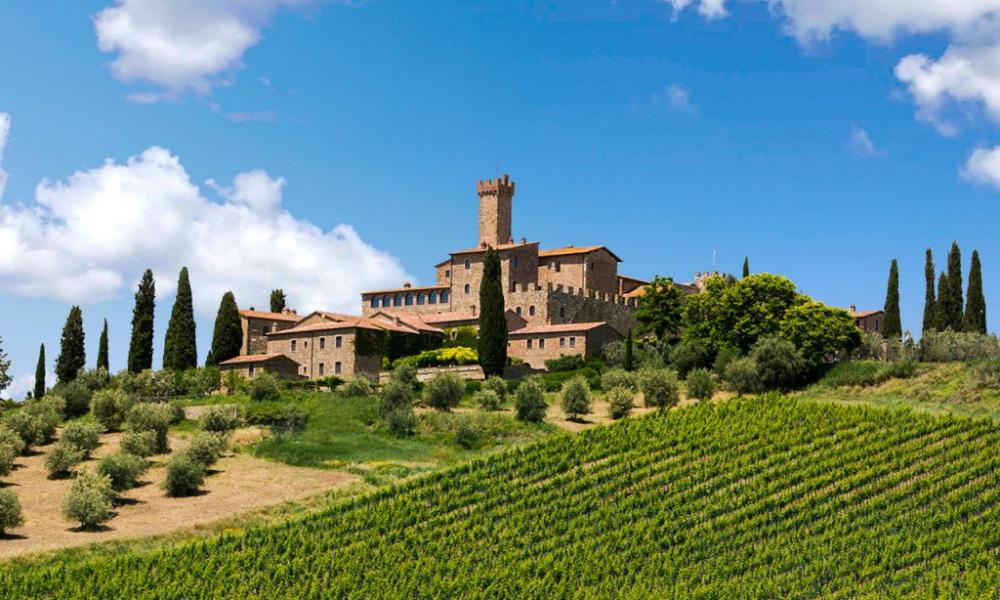 Le vigne di Montalcino